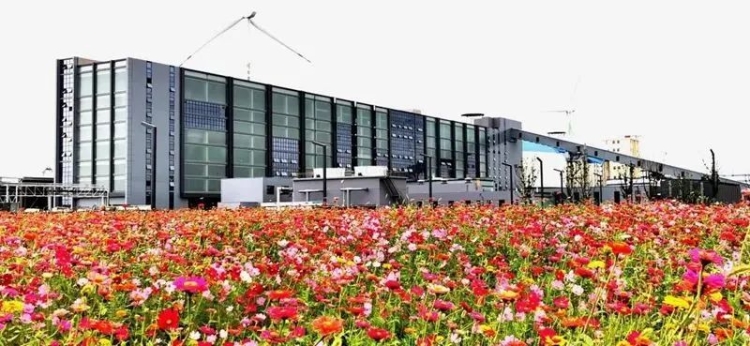江阴市人民政府门户网-农业农村重大项目 | 科技创新赋能乡村产业