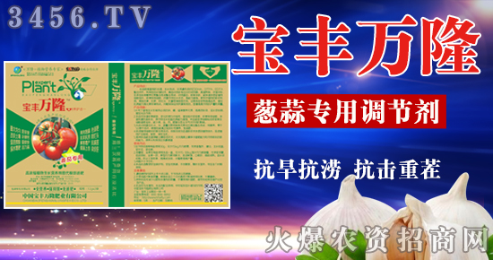 北斗星:鑫宇绿叶,减少养分流失,改善土壤结构!-公司新闻_火爆农资招商网【3456.TV】